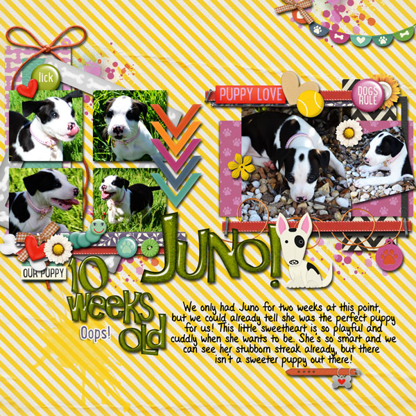 Juno- 10 Weeks