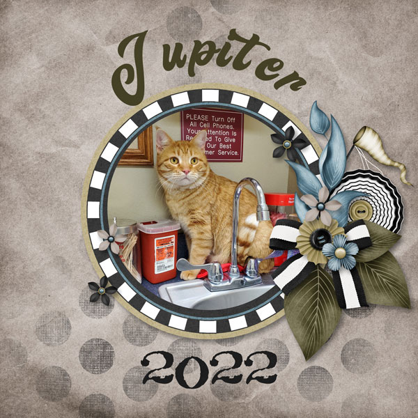 Jupiter 2022