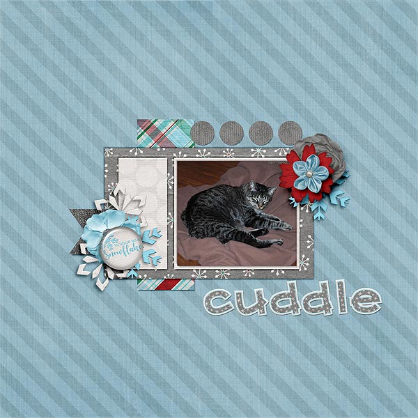 Just a Cuddle