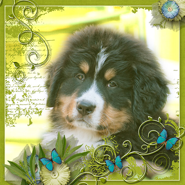 Just cute!