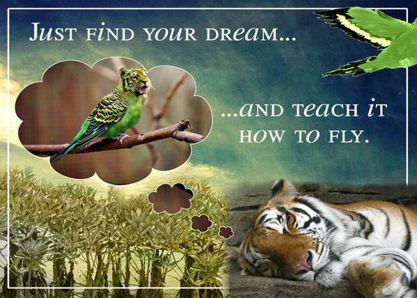 Just Find Your Dream