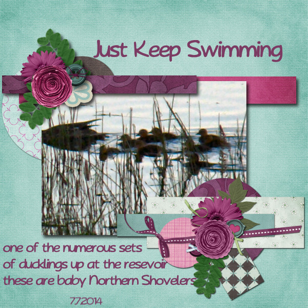 Just Keep Swimming