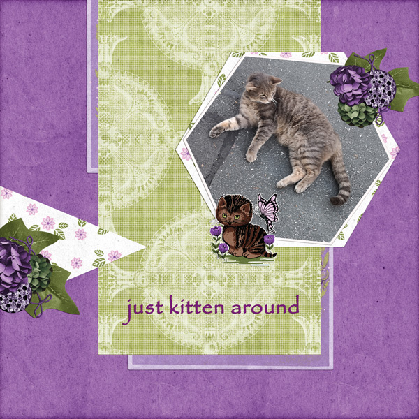 just kitten around
