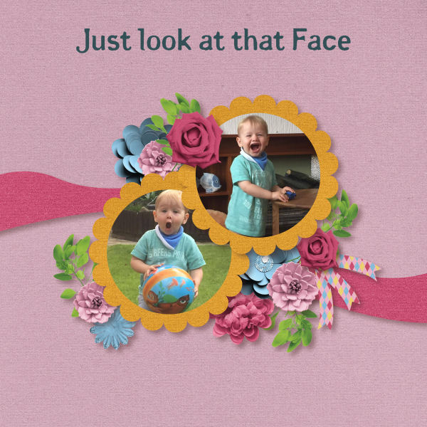 Just look at that face