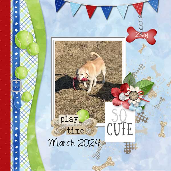 just-pawfect-lindsay-jane