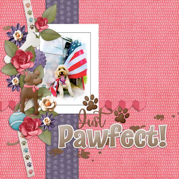 Just Pawfect