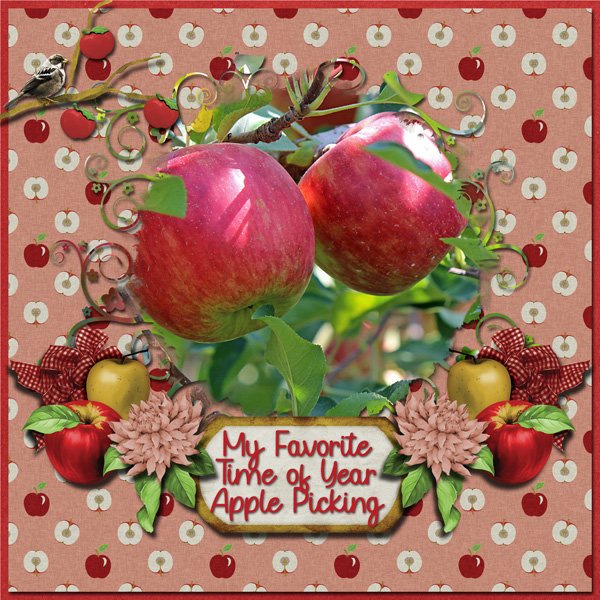 Just Picked Apples