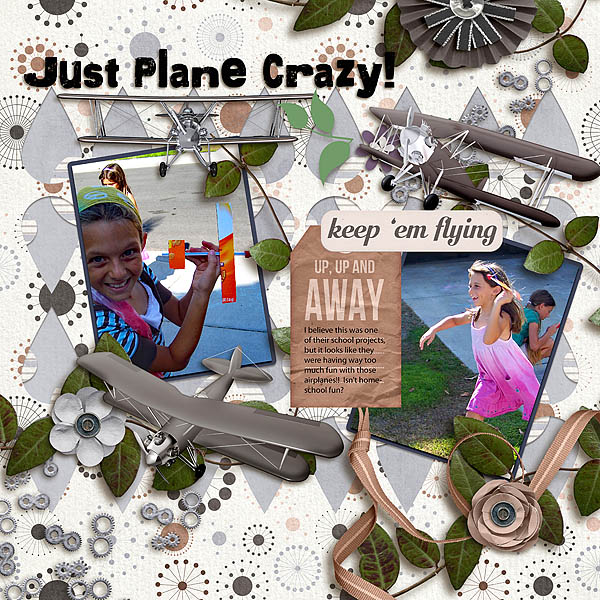Just Plane Crazy