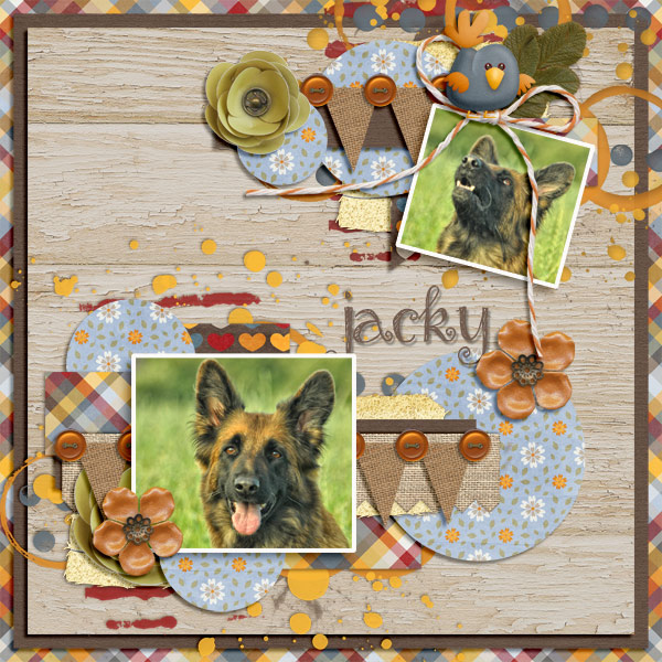 JustJacky