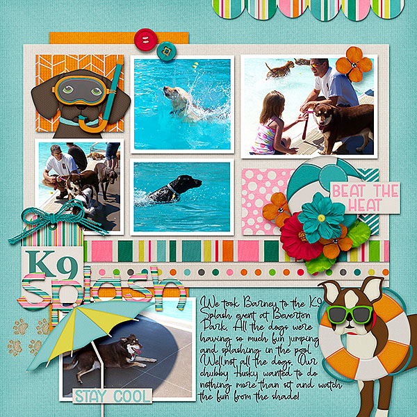 K9 Splash
