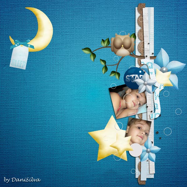 KAagrad_NightOwl_net
