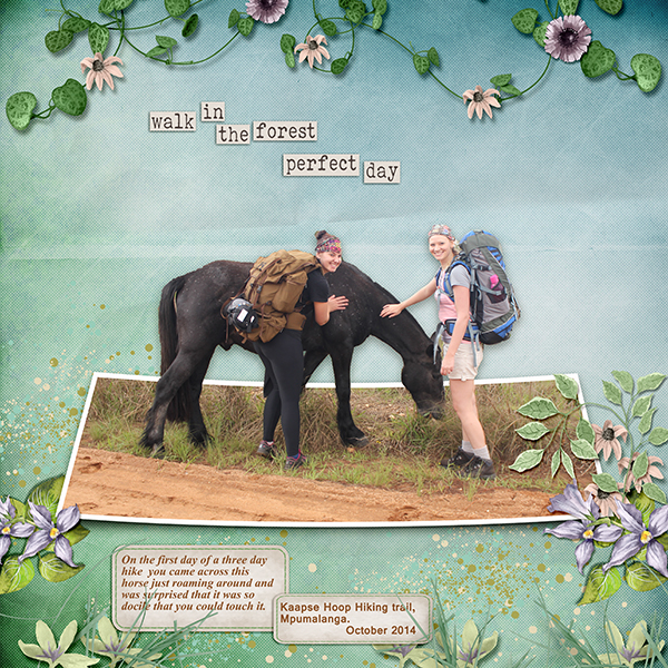 KaapseHoop Hiking
