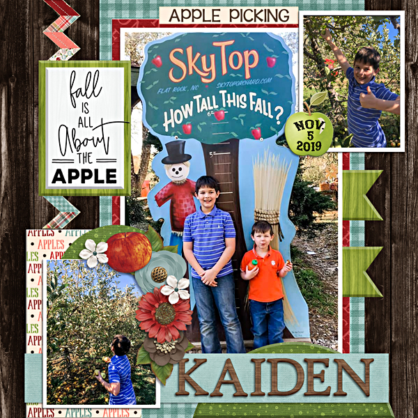 Kaiden apple picking
