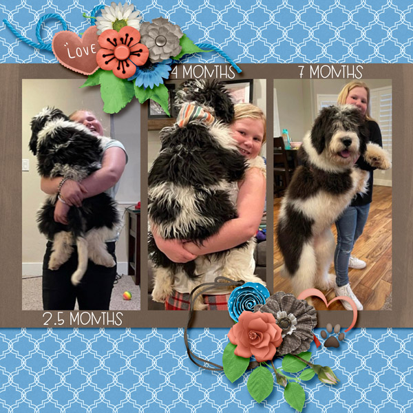 Kambree_Puppy_Love_SCbRweb