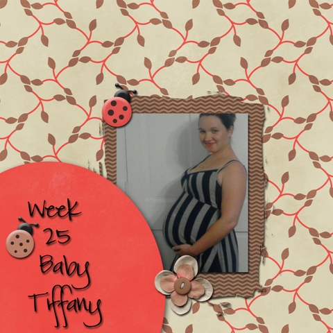 Kandice at 25 weeks ~ Mini Kit challange