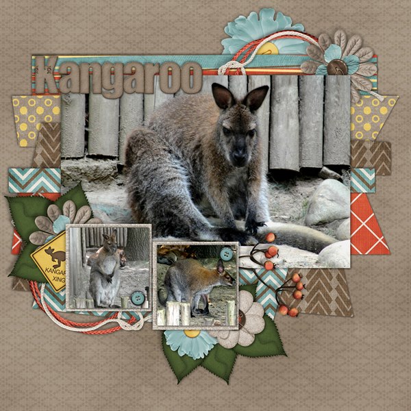 Kangaroo