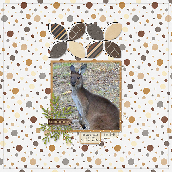 Kangaroo