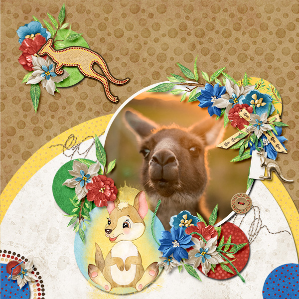 Kangaroo