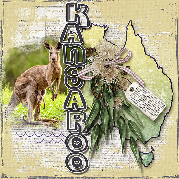 Kangaroo