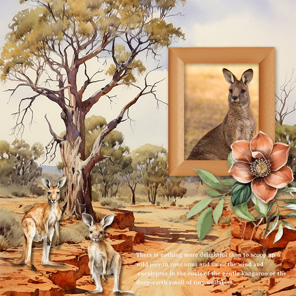 Kangaroo