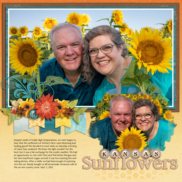 Kansas Sunflowers
