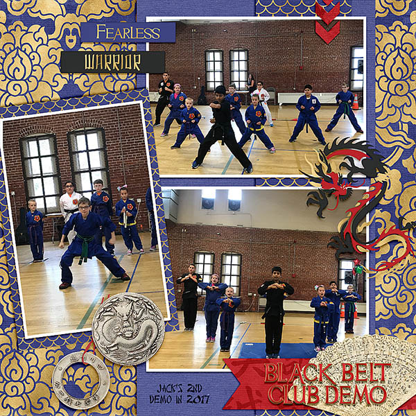 Karate Demo 2017 2