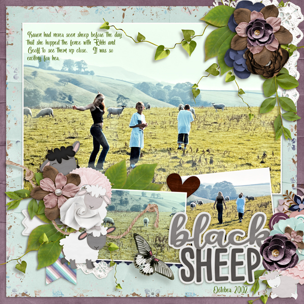 Karen and the Sheep