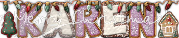 Karen's December 2024 Siggy