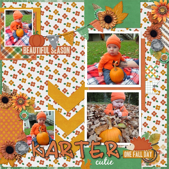 Karter cutie