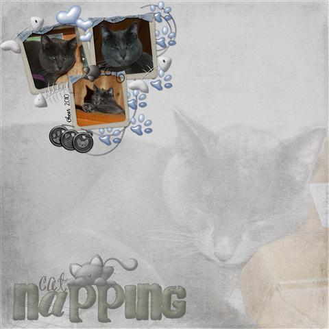 Kat Napping