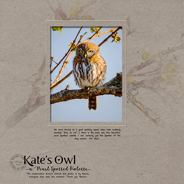 Kates Pearl Spotted Owl