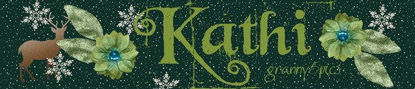 Kathi January
