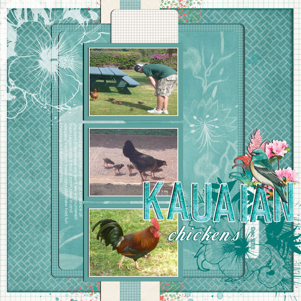 KAUAIAN CHICKENS