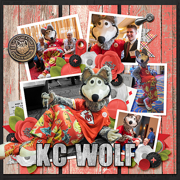KC Wolf
