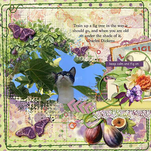 Keep Calm and Fig On