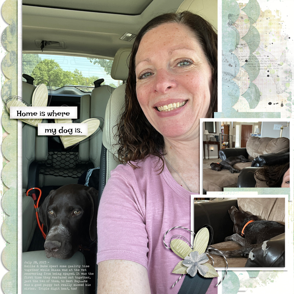 Kellie + Duke Go To Pet Smart - 7.28.2023