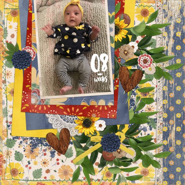 Kelsy - 8 Weeks