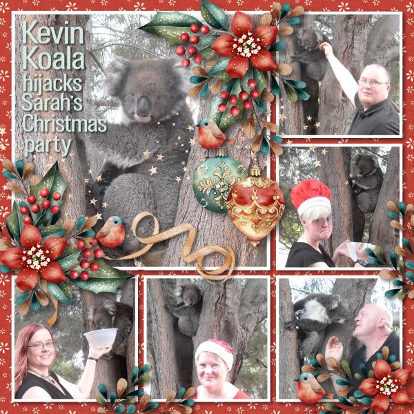 Kevin Koala