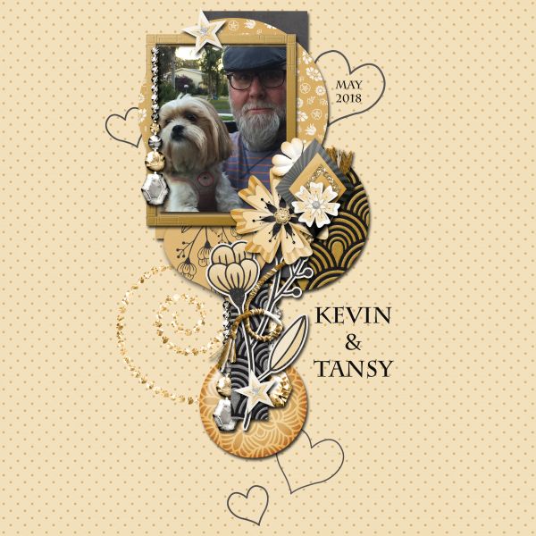 Kevin-Tansy2018
