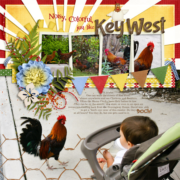 Key West Roosters