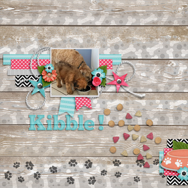 Kibble!