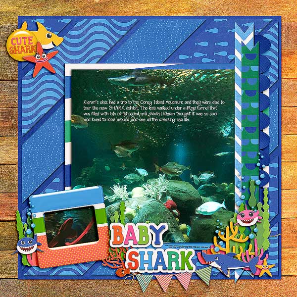 kieranaquariumshark419-copy