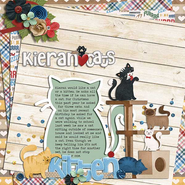kierancats
