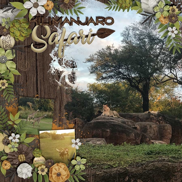 ~Kilamanjaro Safari~