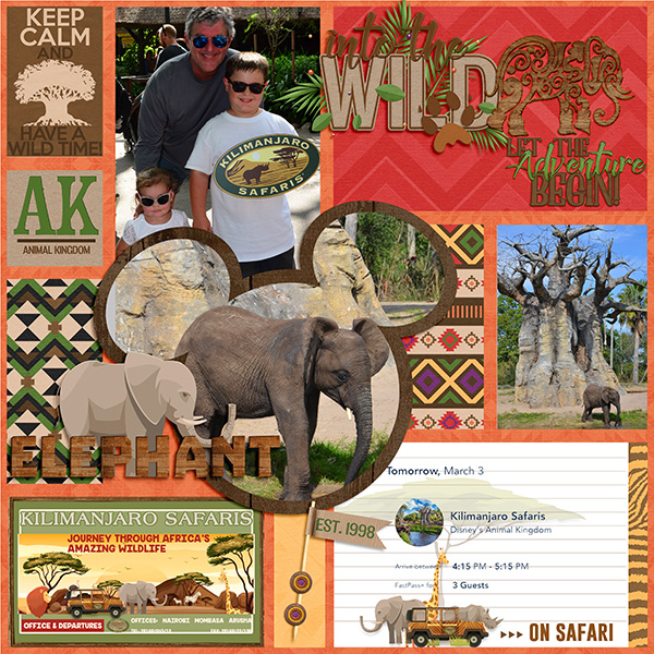 Kilimanjaro Safari