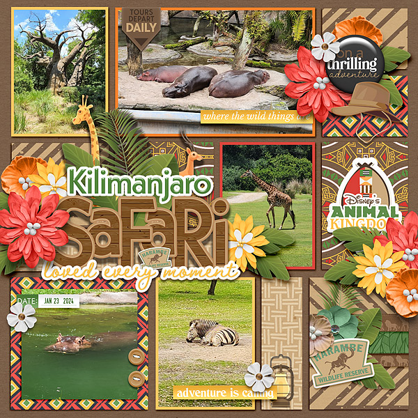 Kilimanjaro Safari