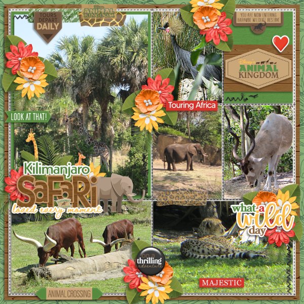 Kilimanjaro Safari