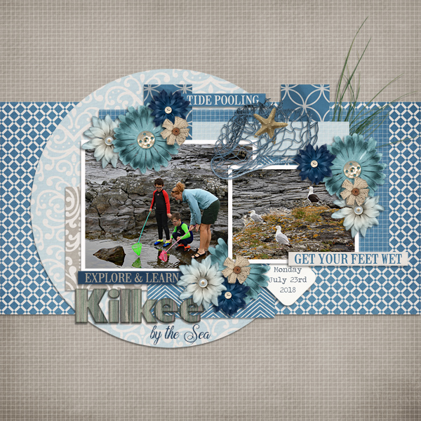 Kilkee by the Sea