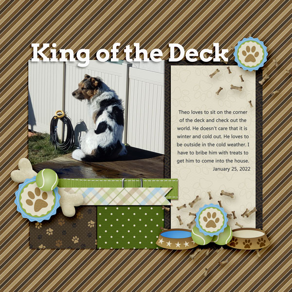 King of the Deck
