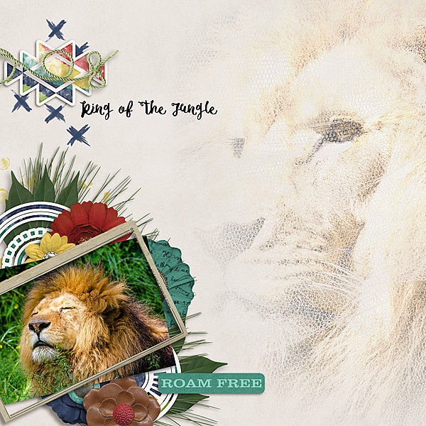 King of the Jungle